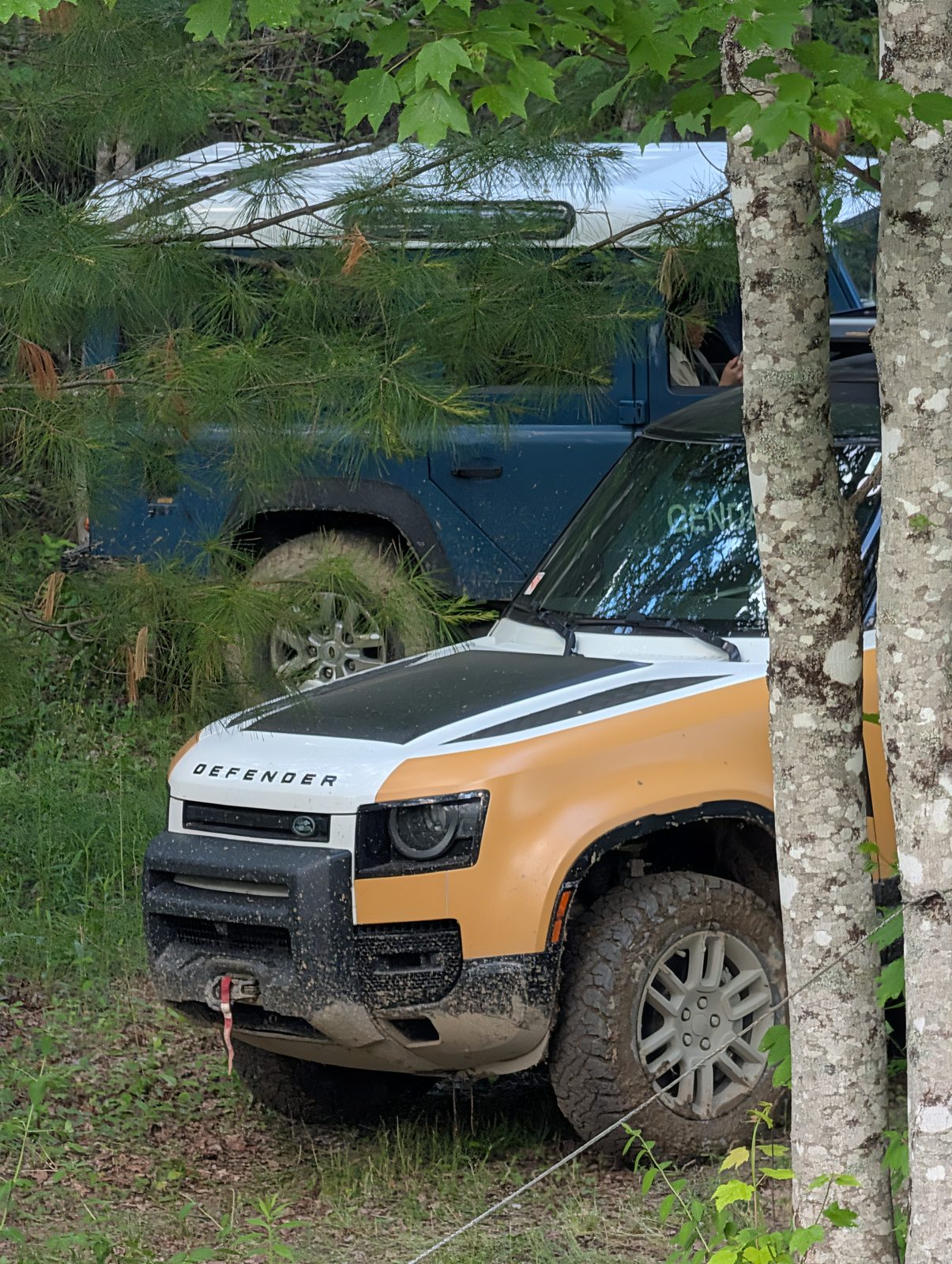 Defenders parked in the woods